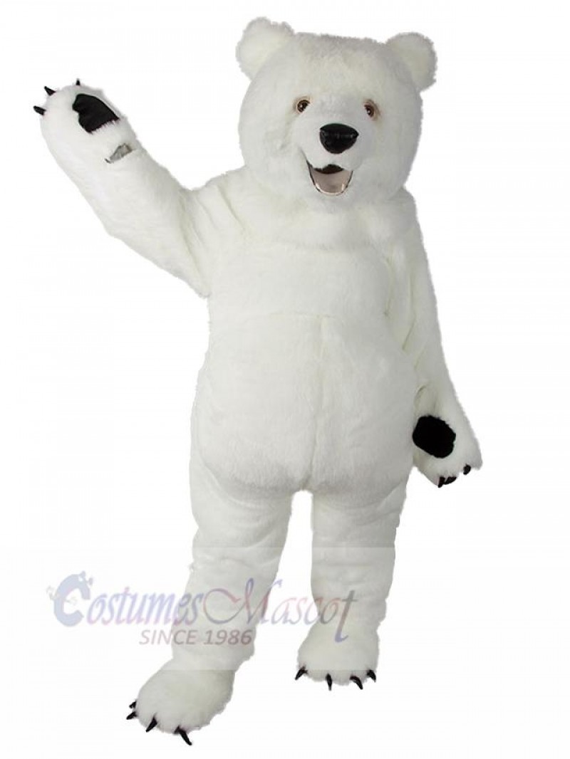 Bear mascot costume