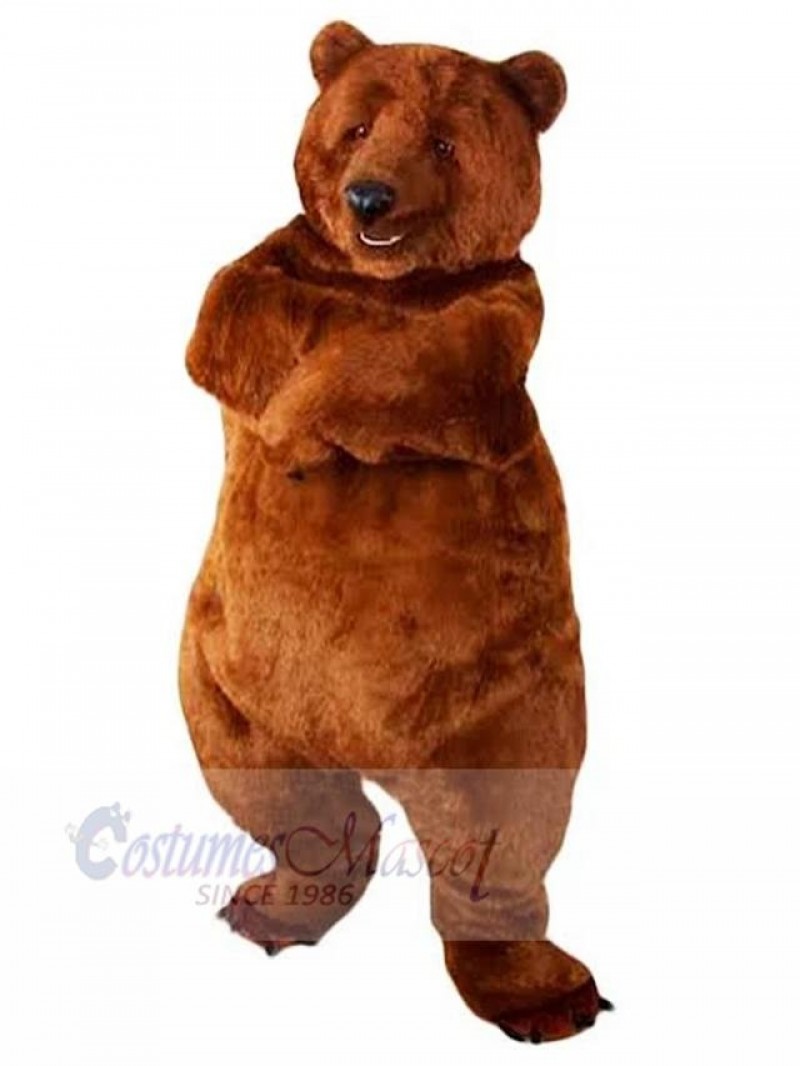 Bear mascot costume