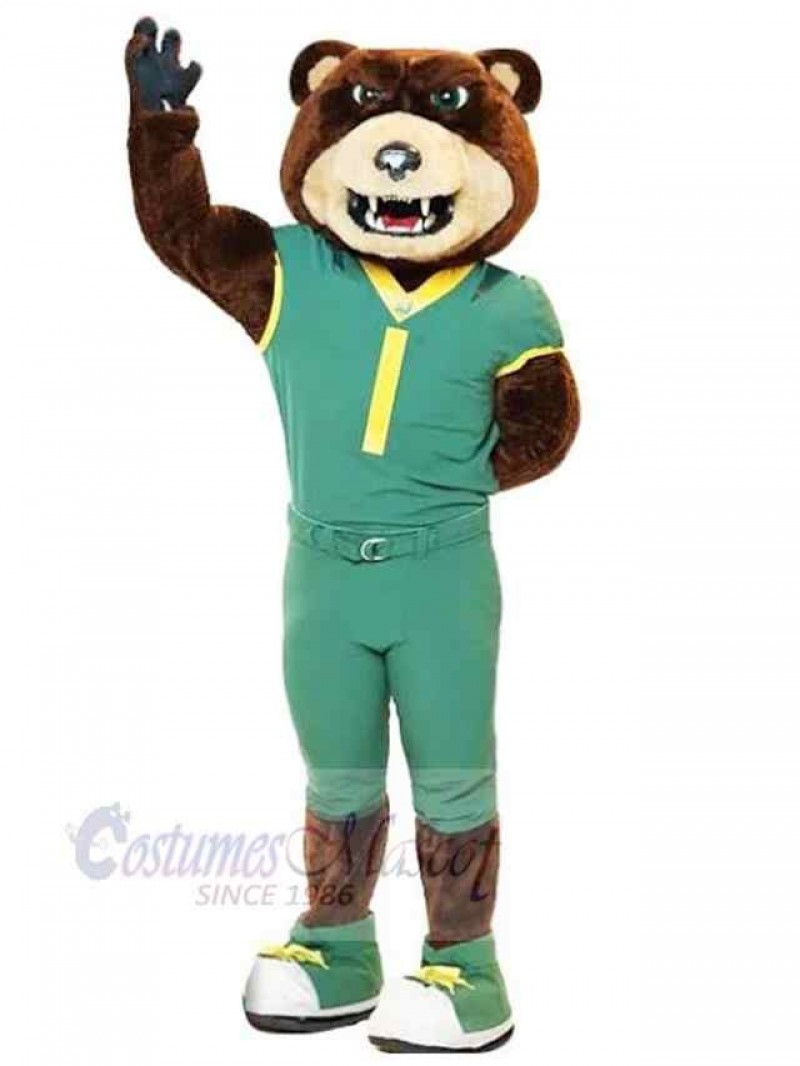 Bear mascot costume