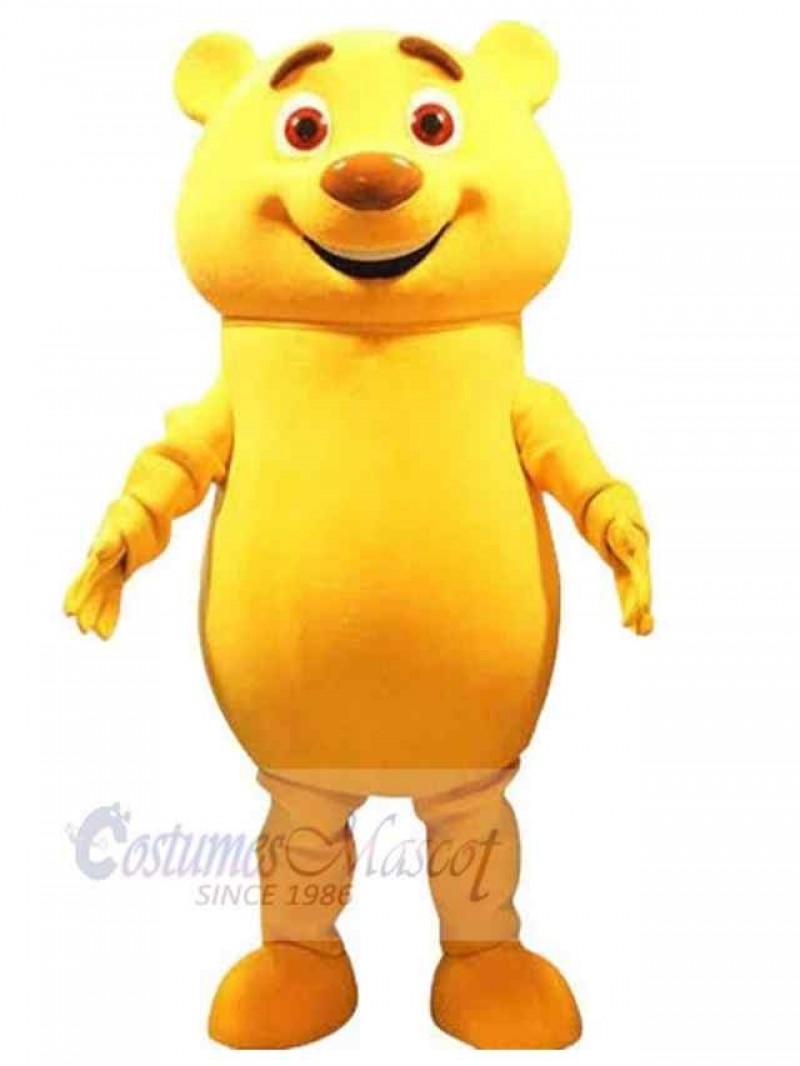 Bear mascot costume