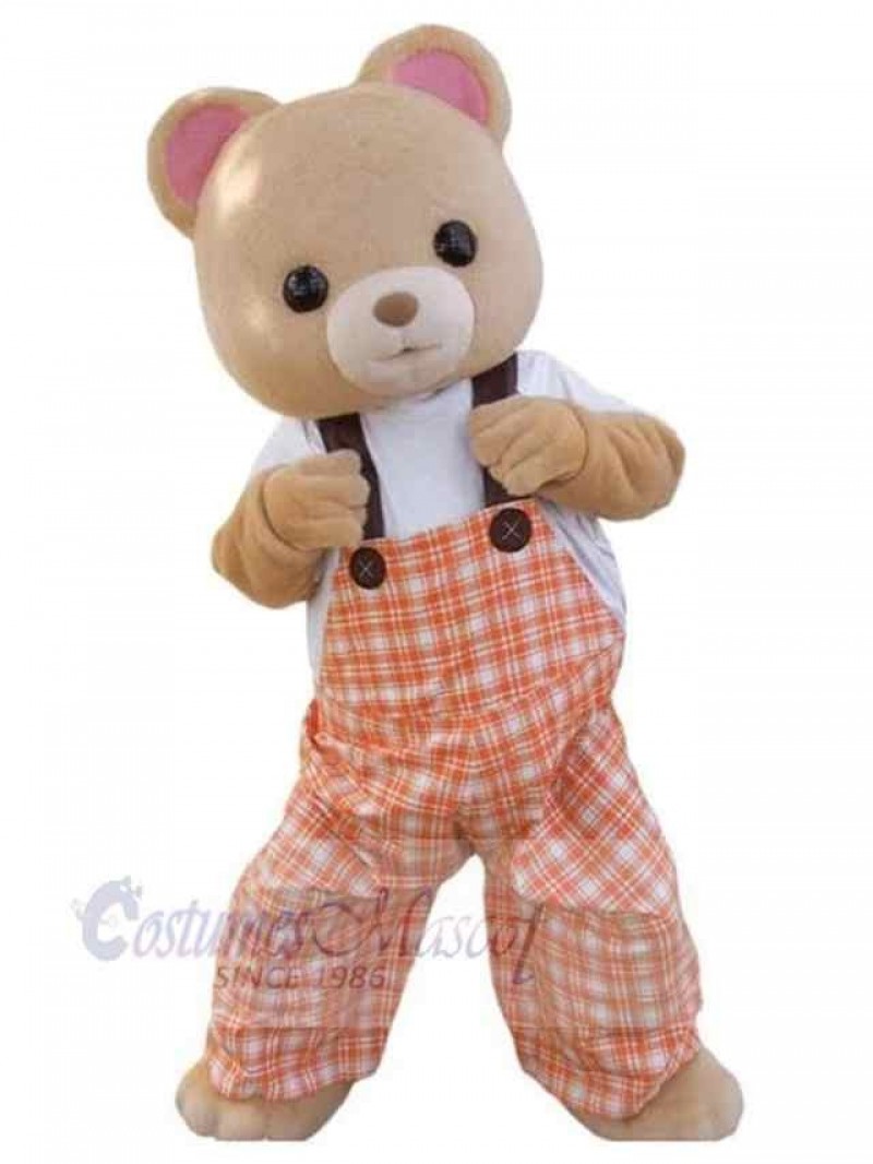 Bear mascot costume
