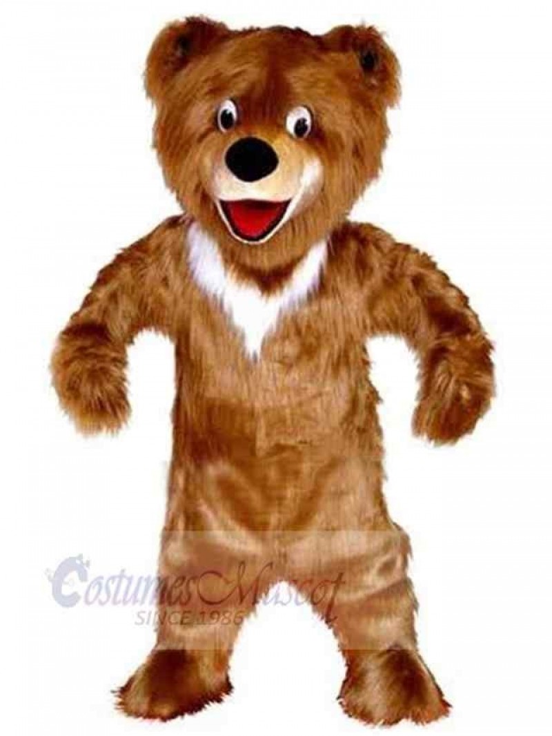 Bear mascot costume