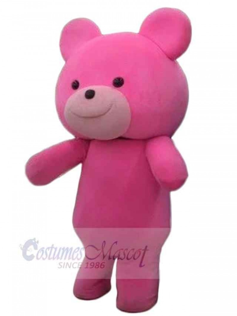 Bear mascot costume