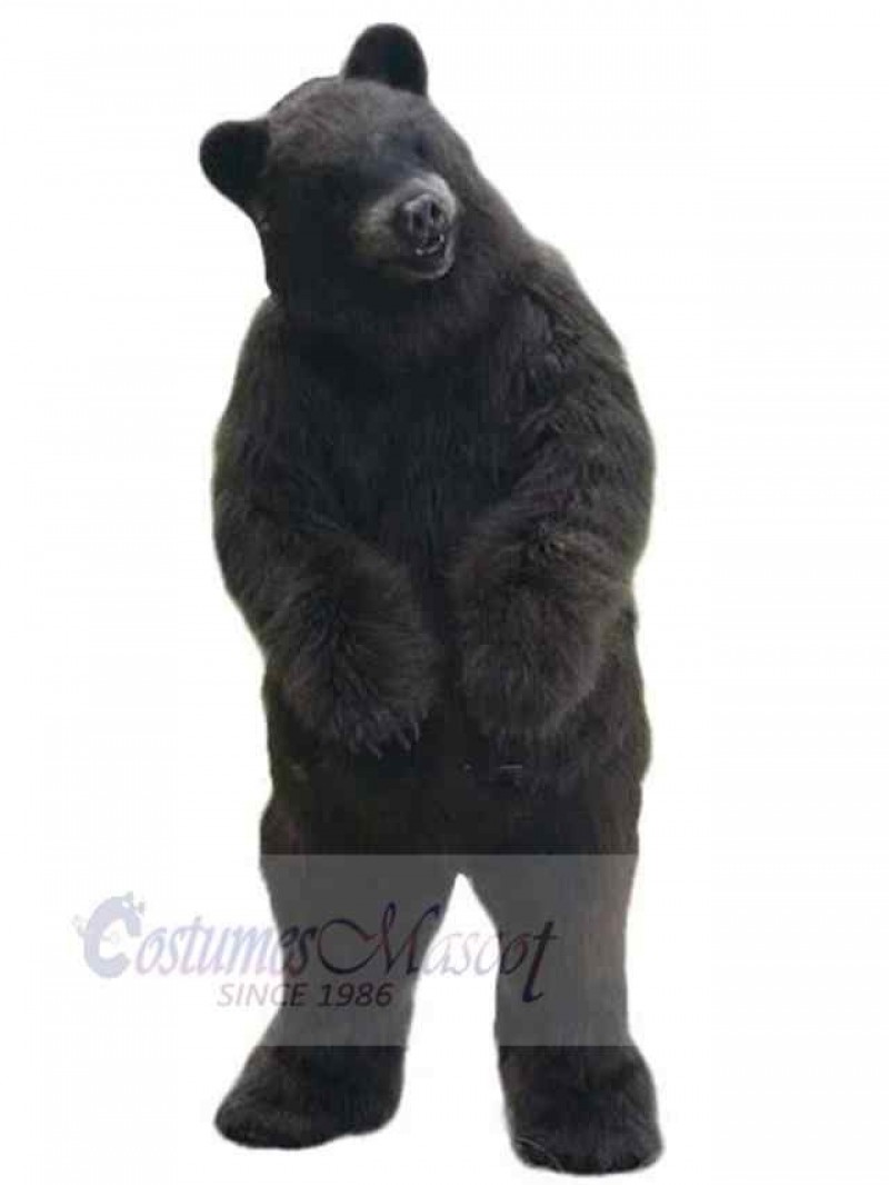 Bear mascot costume