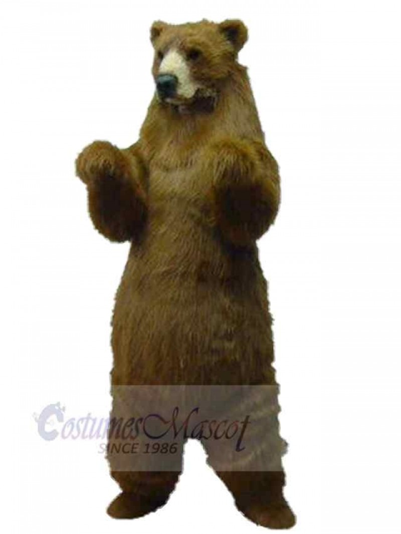 Bear mascot costume