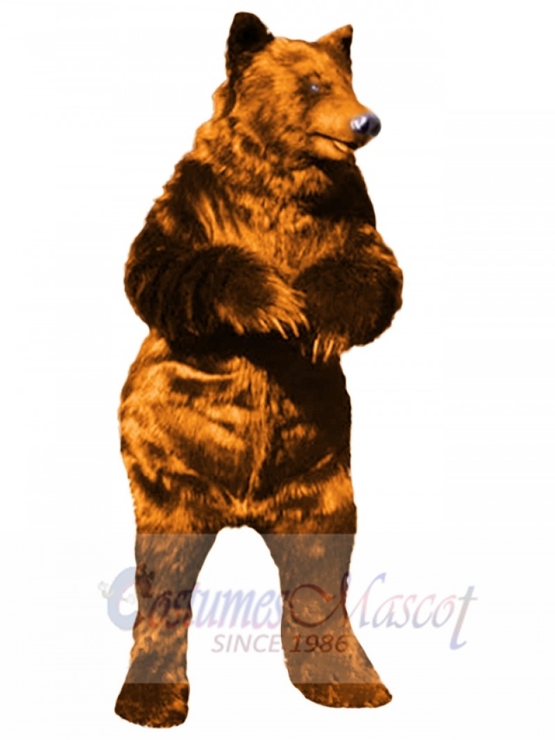 Bear mascot costume