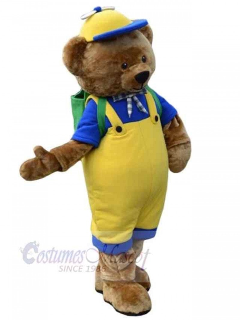 Bear mascot costume