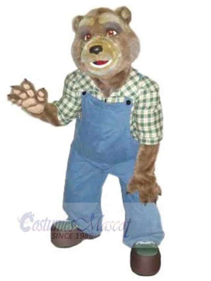 Bear mascot costume