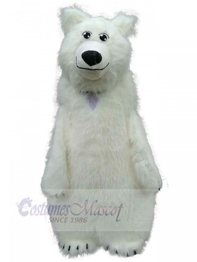 Bear mascot costume