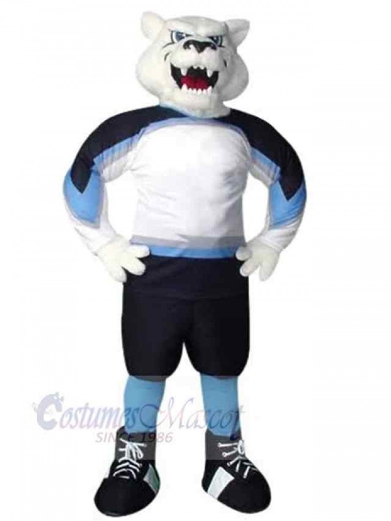 Bear mascot costume