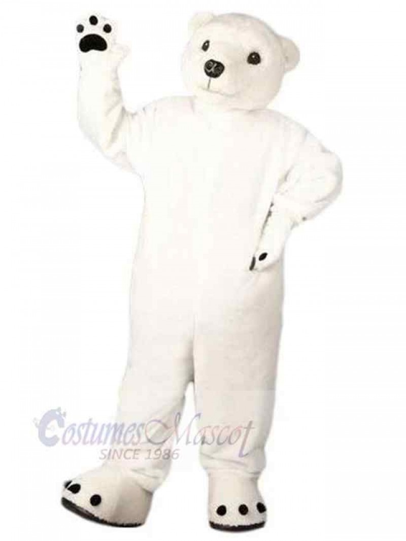 Bear mascot costume