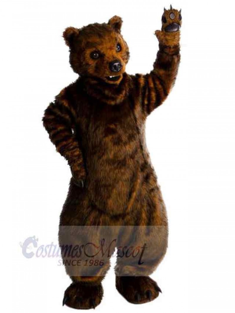 Bear mascot costume