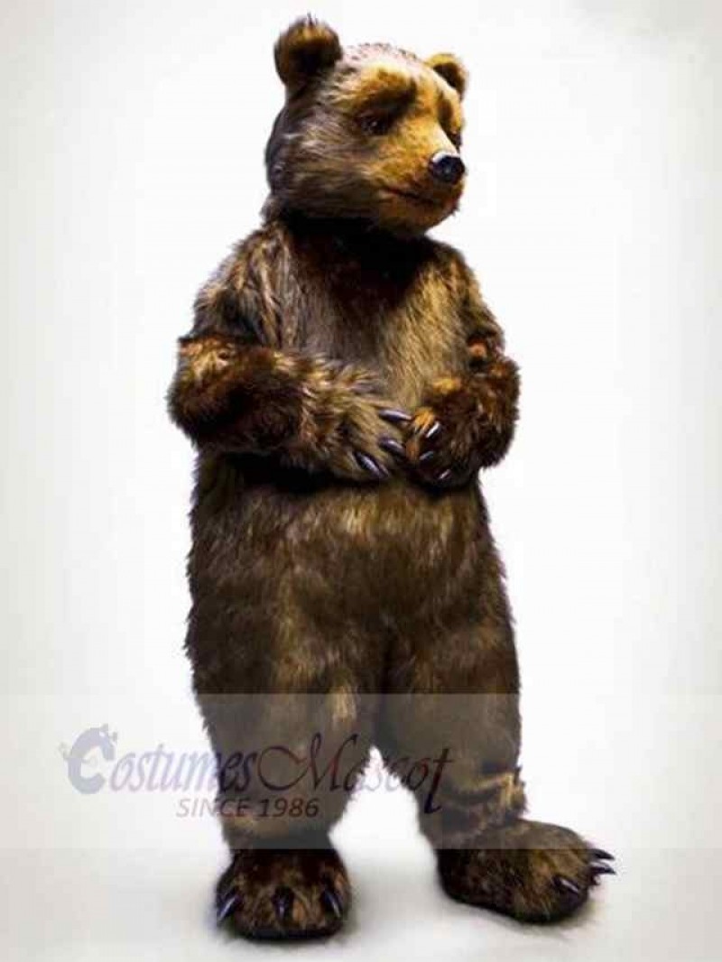 Bear mascot costume