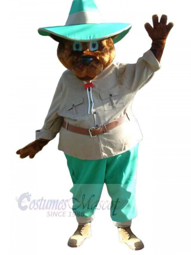 Bear mascot costume