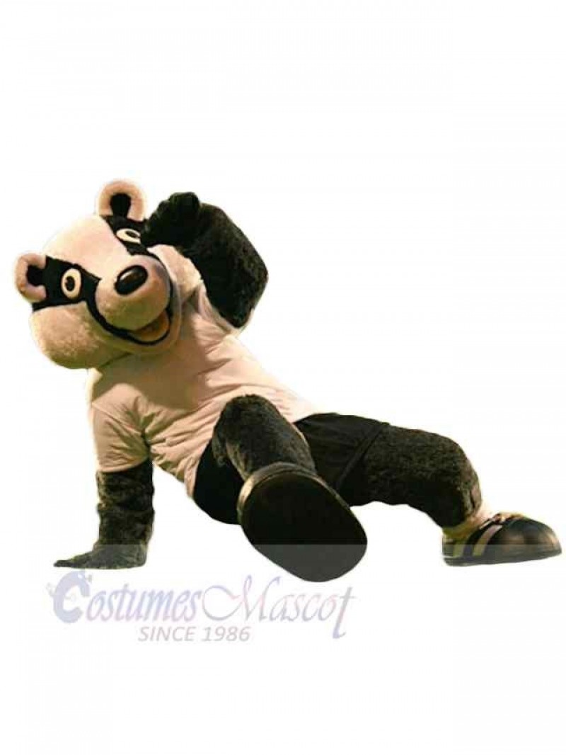Bear mascot costume