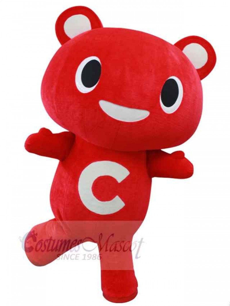 Bear mascot costume