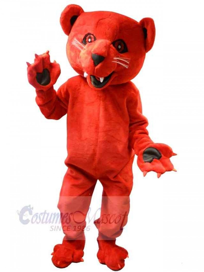 Bear mascot costume