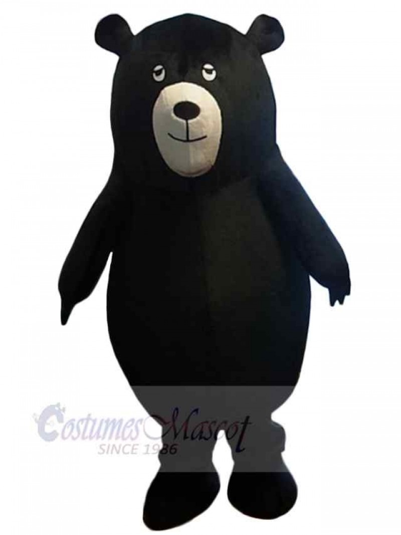 Bear mascot costume