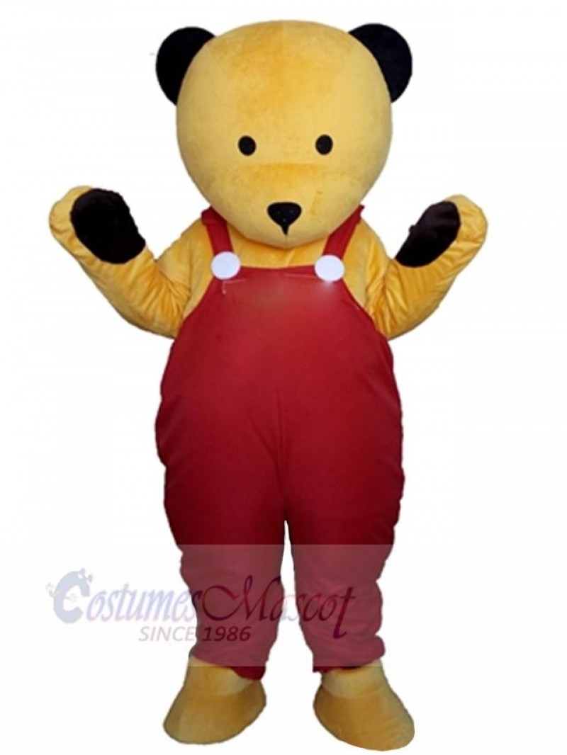 Bear mascot costume