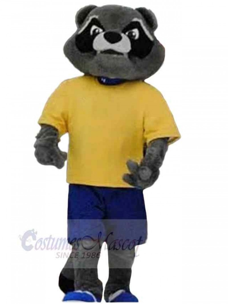 Raccoon mascot costume