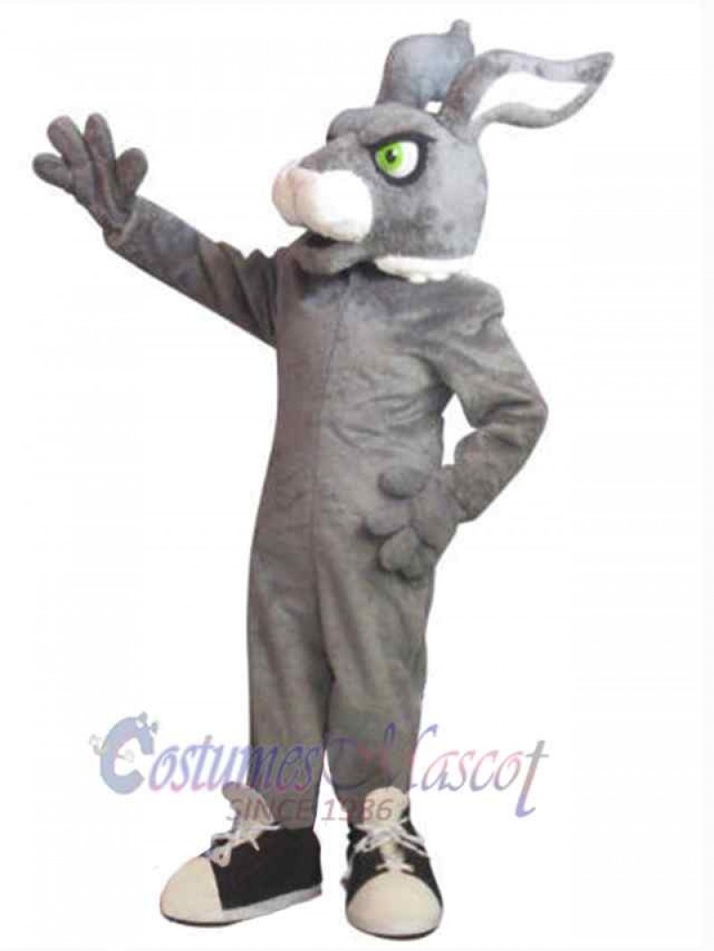 Easter Bunny Rabbit mascot costume