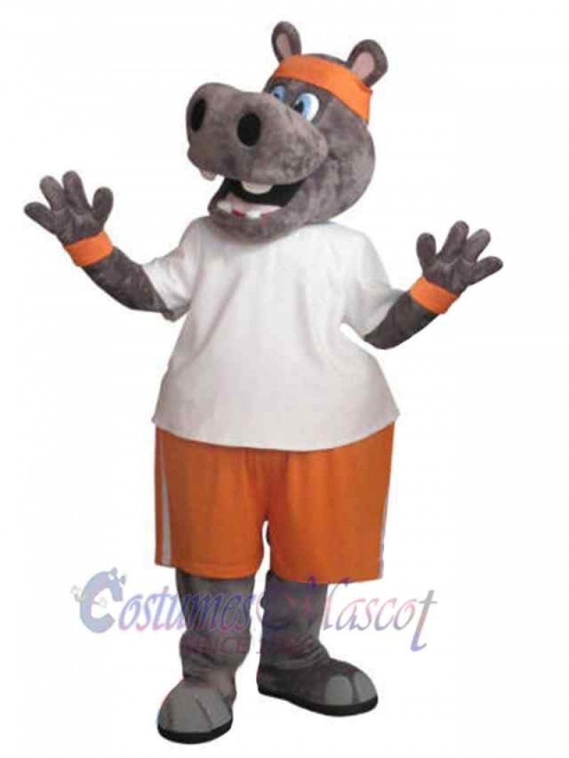 Hippo mascot costume