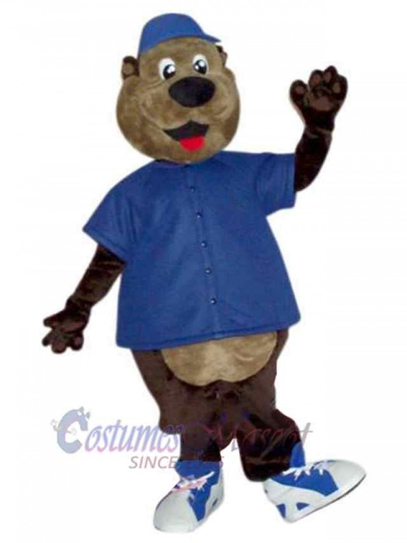 Bear mascot costume