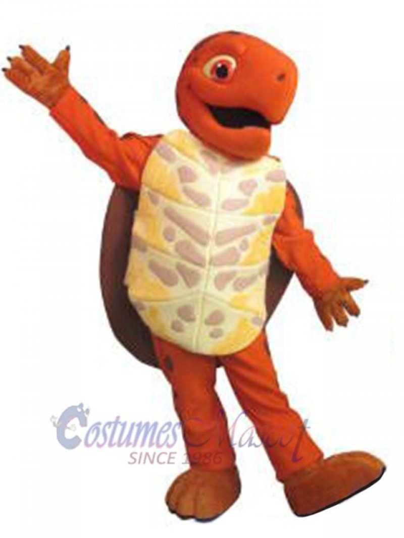 Turtle mascot costume