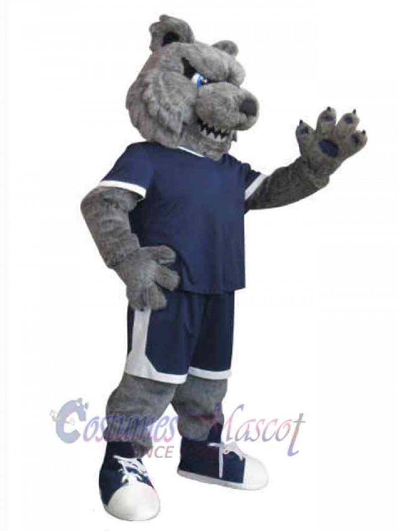 Bear mascot costume
