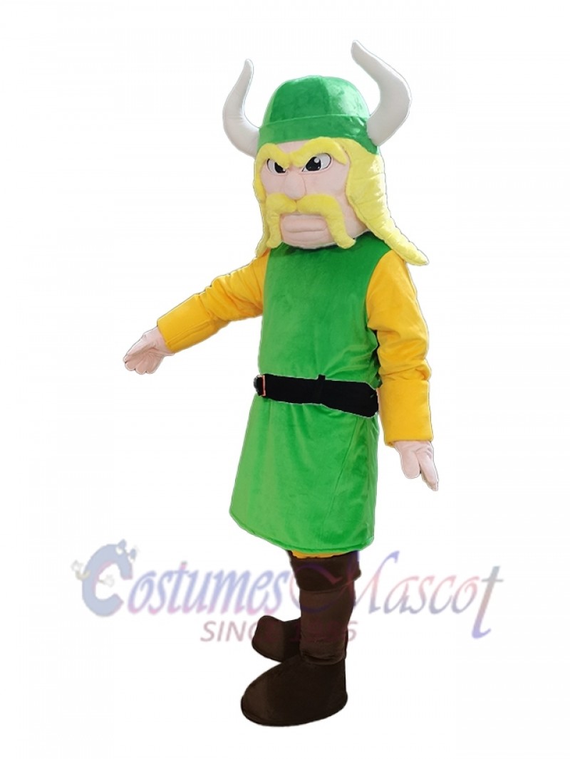 Pirate mascot costume