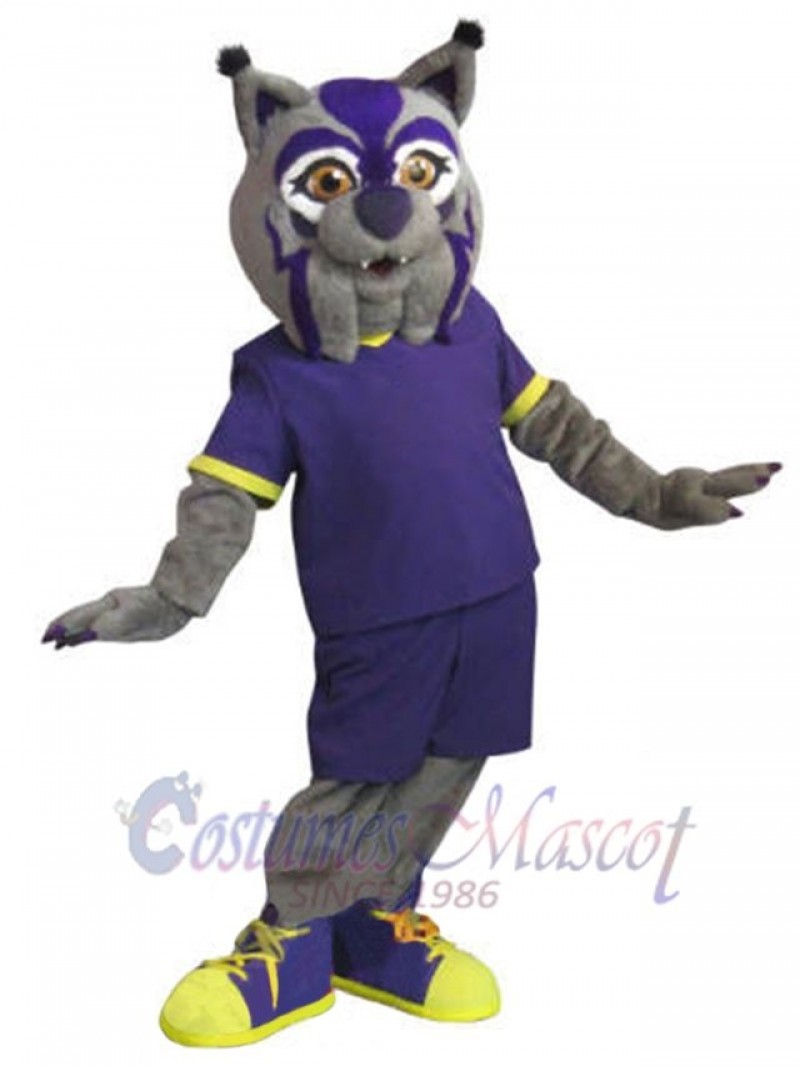 Cat mascot costume