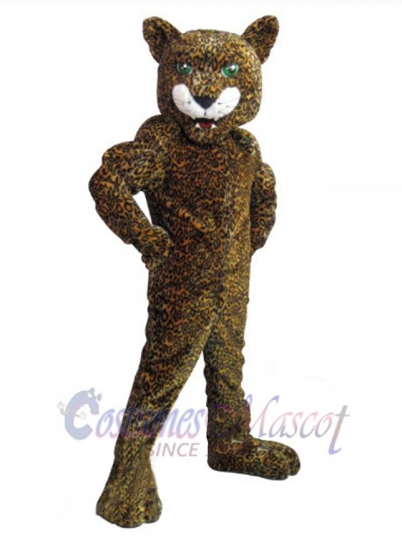 Jaguar mascot costume