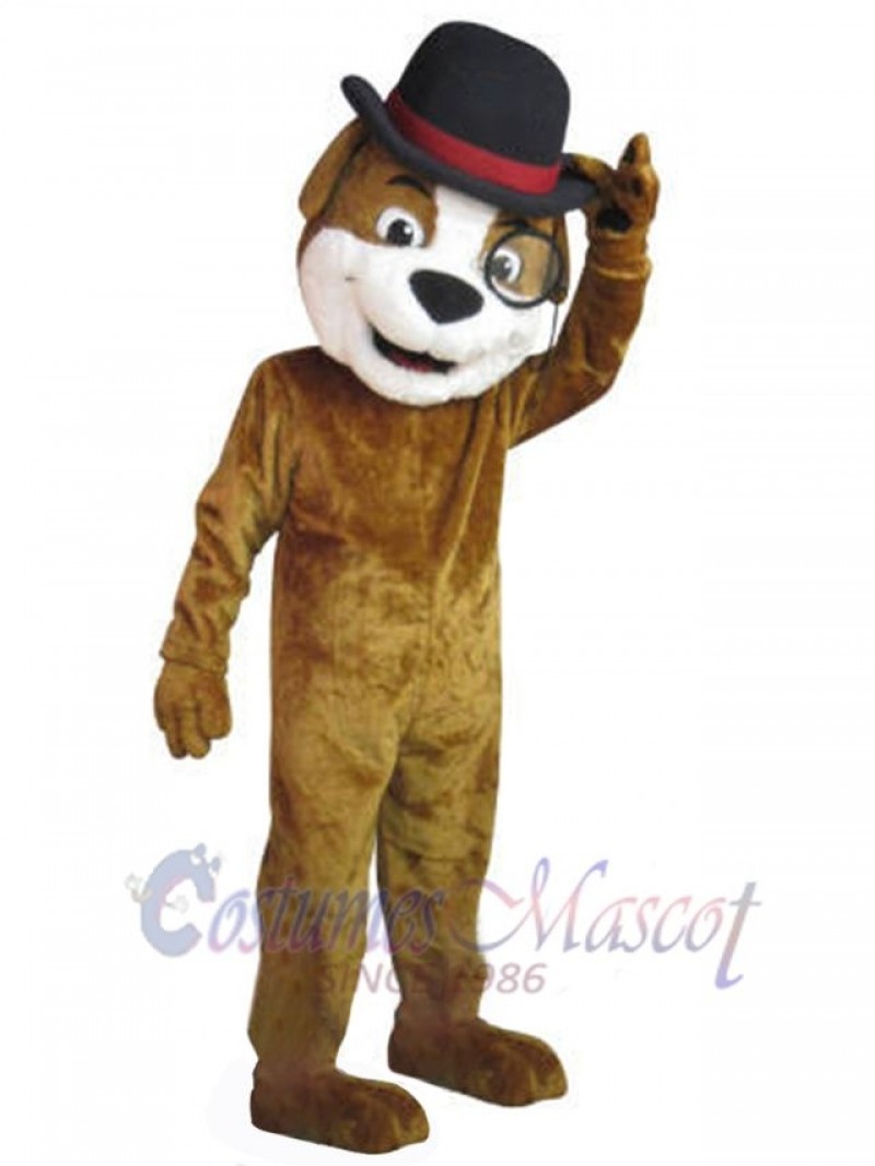 Dog mascot costume