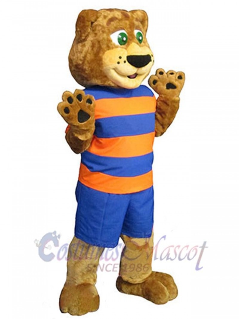 Bear mascot costume