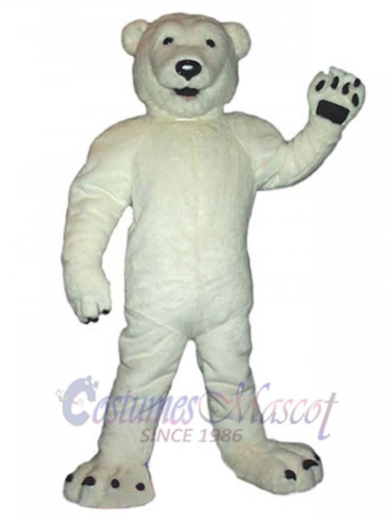 Bear mascot costume