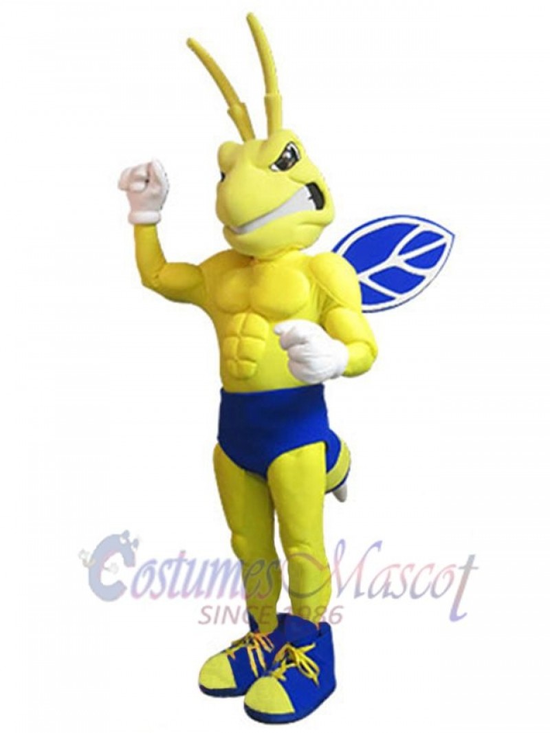 Bee mascot costume