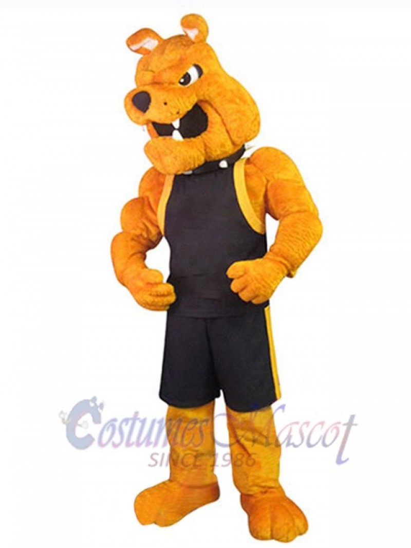 Dog mascot costume