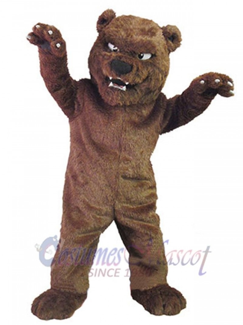 Bear mascot costume