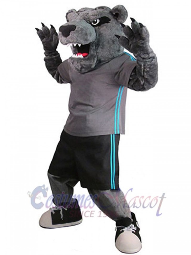 Bear mascot costume