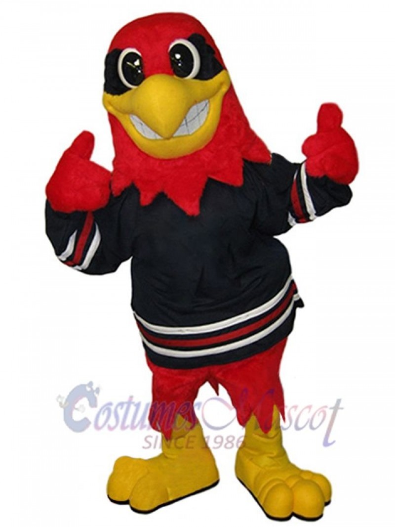 Hawk mascot costume