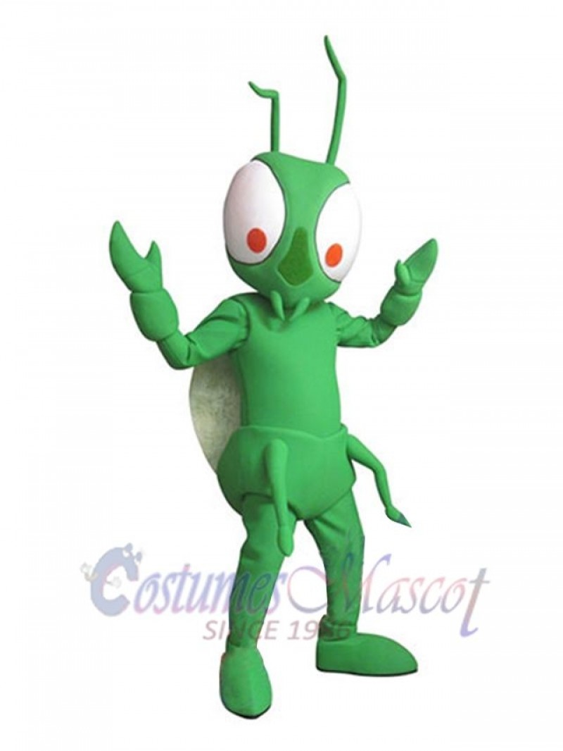 Mantis mascot costume