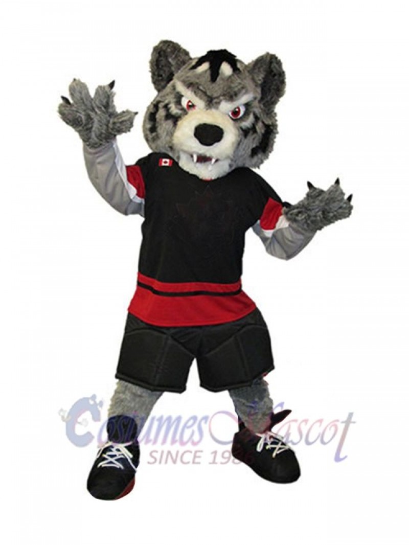 Wolf mascot costume