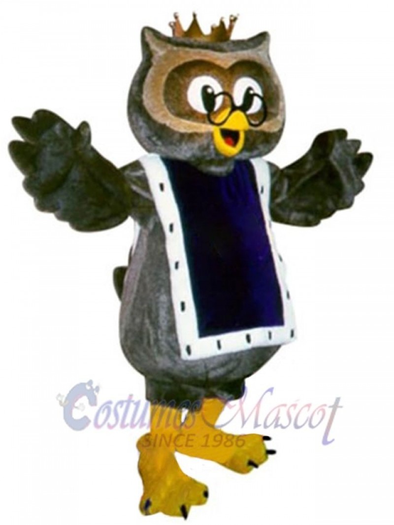 Owl mascot costume