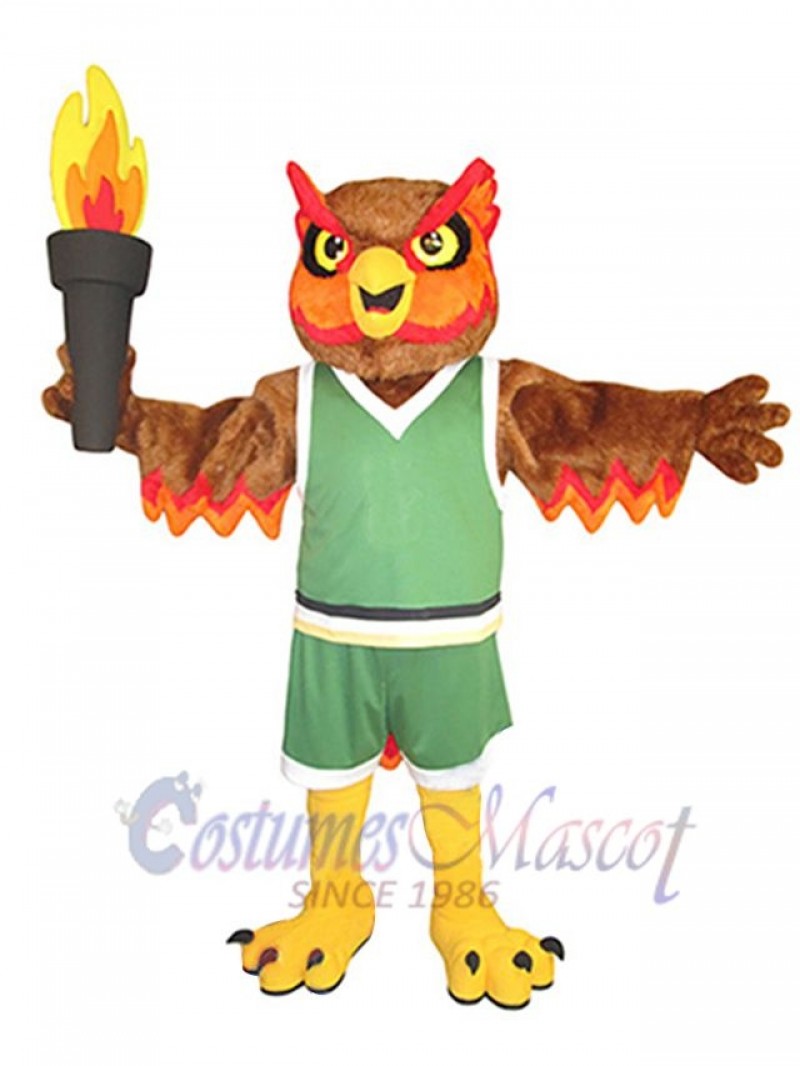 Owl mascot costume