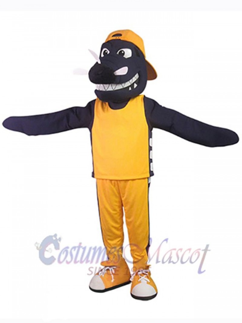 Dragon mascot costume