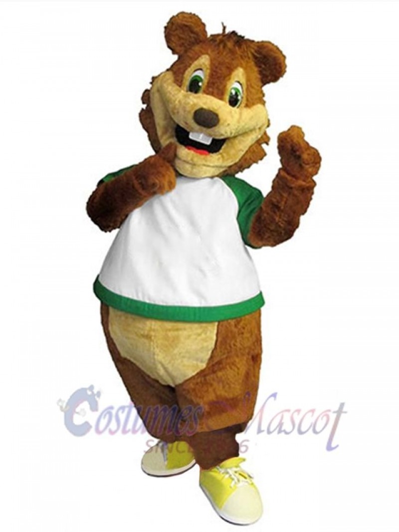 Squirrel mascot costume