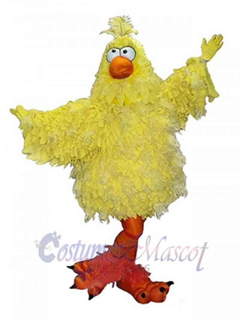 Chicken mascot costume