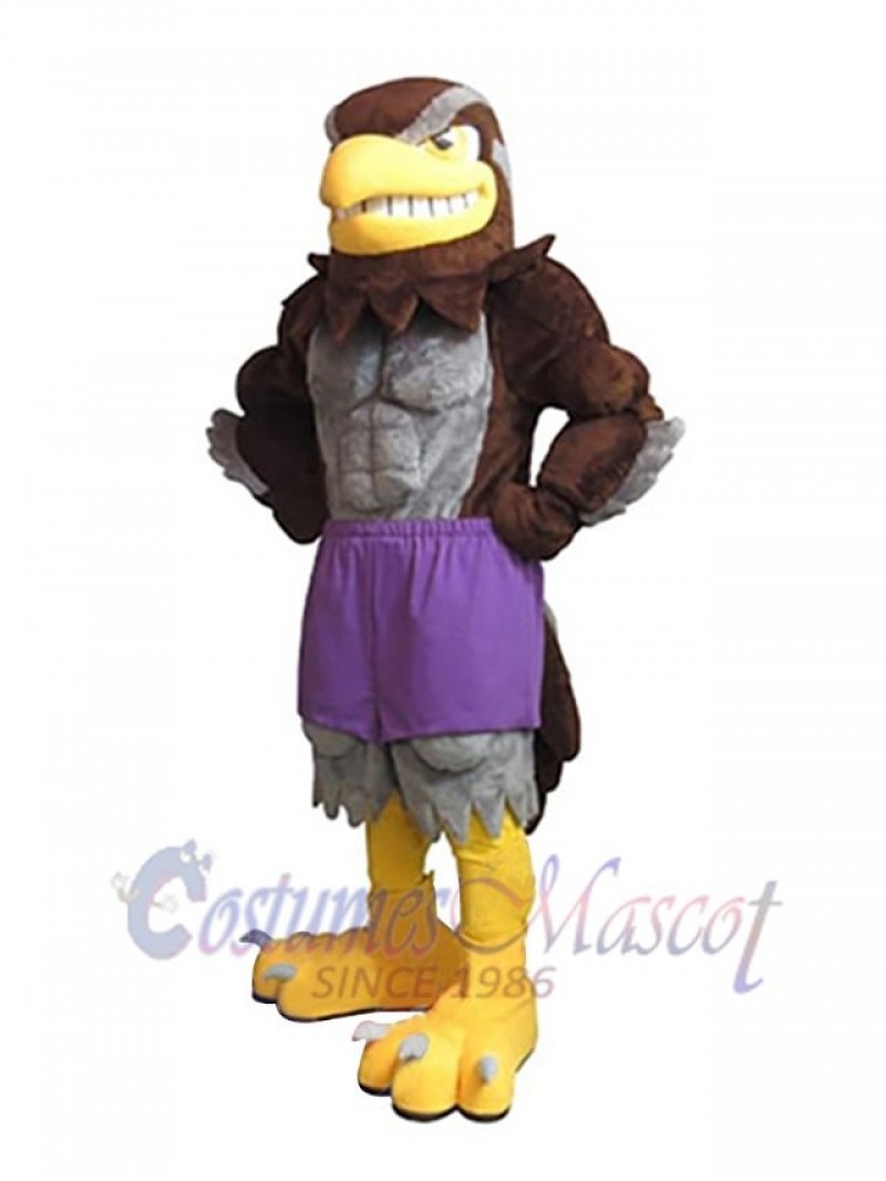 Falcon mascot costume