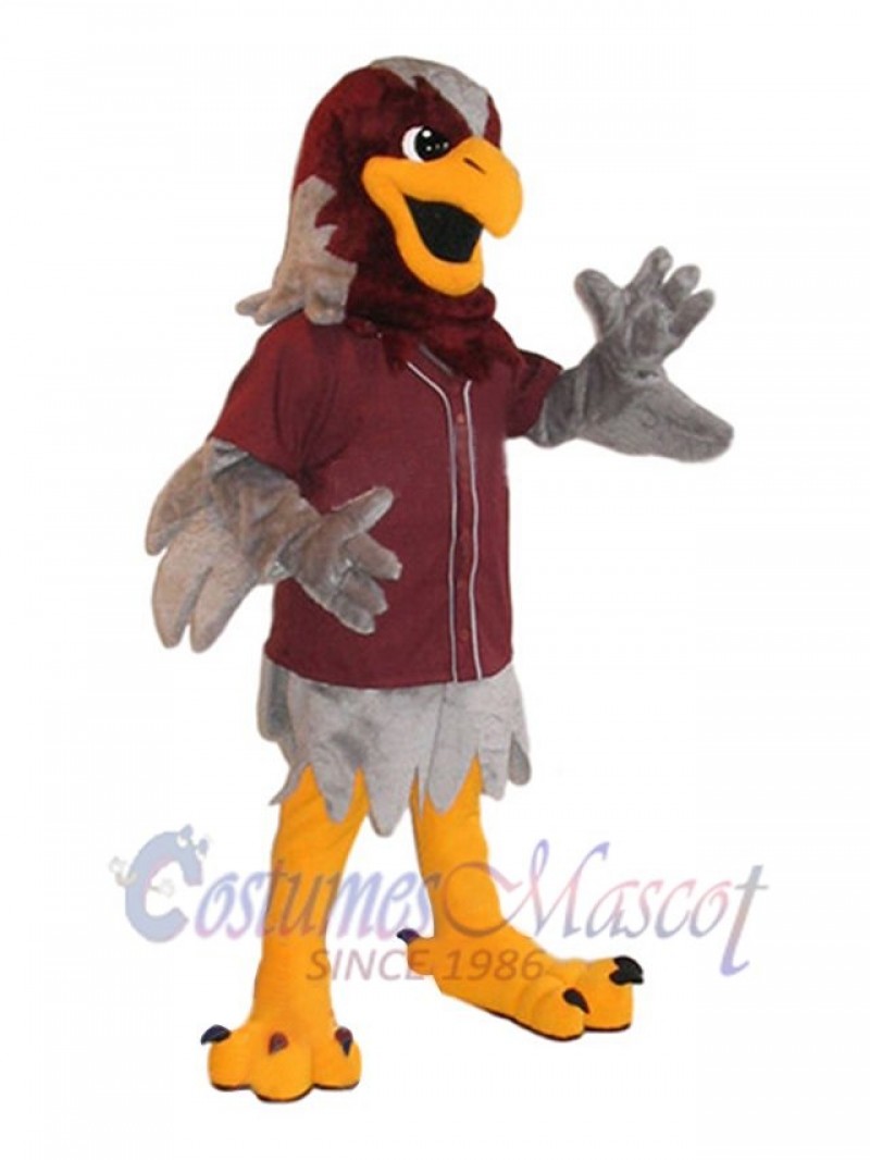 Falcon mascot costume