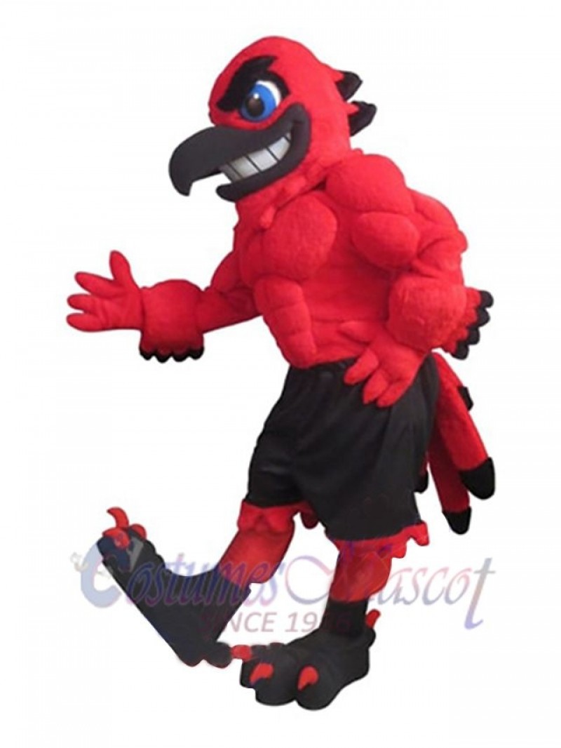 Falcon mascot costume